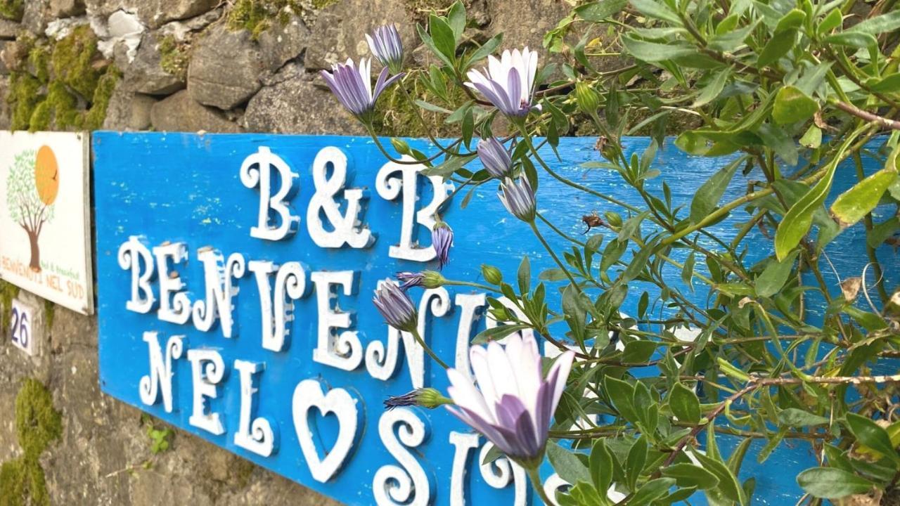 Bed and Breakfast Benvenuti Nel Sud Sessa Cilento Экстерьер фото