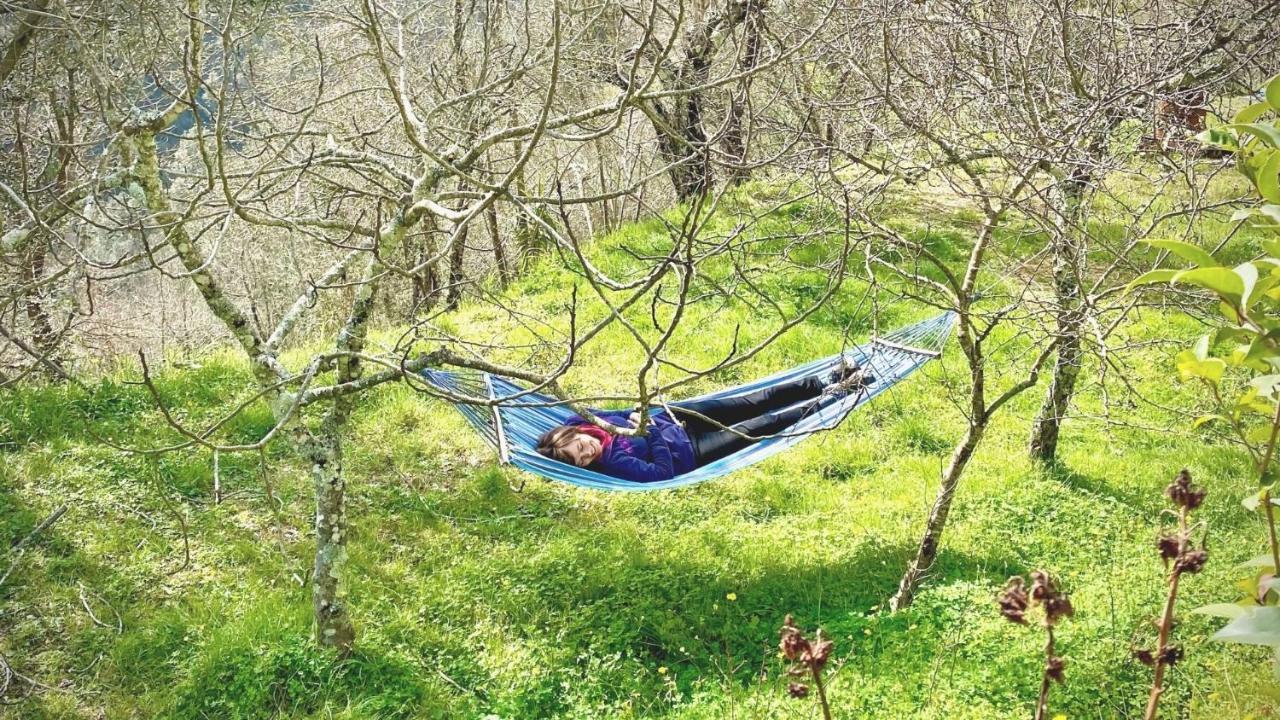 Bed and Breakfast Benvenuti Nel Sud Sessa Cilento Экстерьер фото