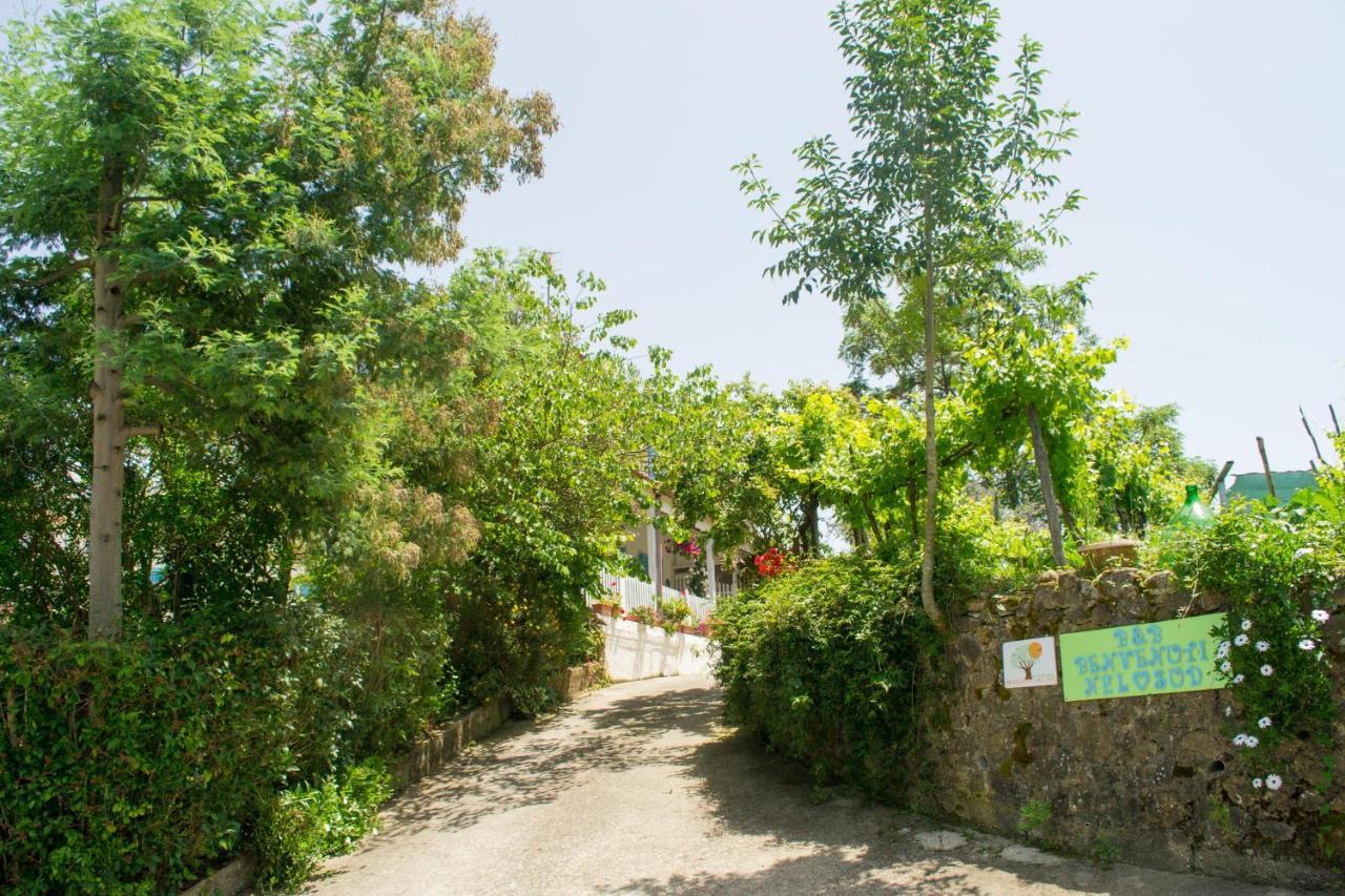 Bed and Breakfast Benvenuti Nel Sud Sessa Cilento Экстерьер фото